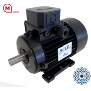 意大利MOTOVARIO電機(jī)M系列-自啟動(dòng)同步電機(jī)