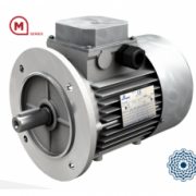意大利MOTOVARIO電機(jī)M系列-三相及三相剎車(chē)電機(jī)